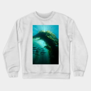 Sunrays In a Kelp Forest Crewneck Sweatshirt